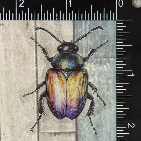 🌀10/$10🌀 Translucent Moth Dragonfly Beetle Reusable Waterproof Sticker Decal - Picture 1 of 1
